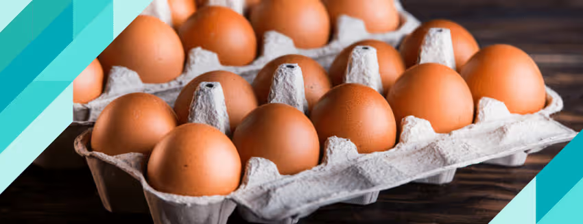 Œufs, aliment courant d'une alimentation équilibrée